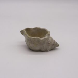 Shell Decoration