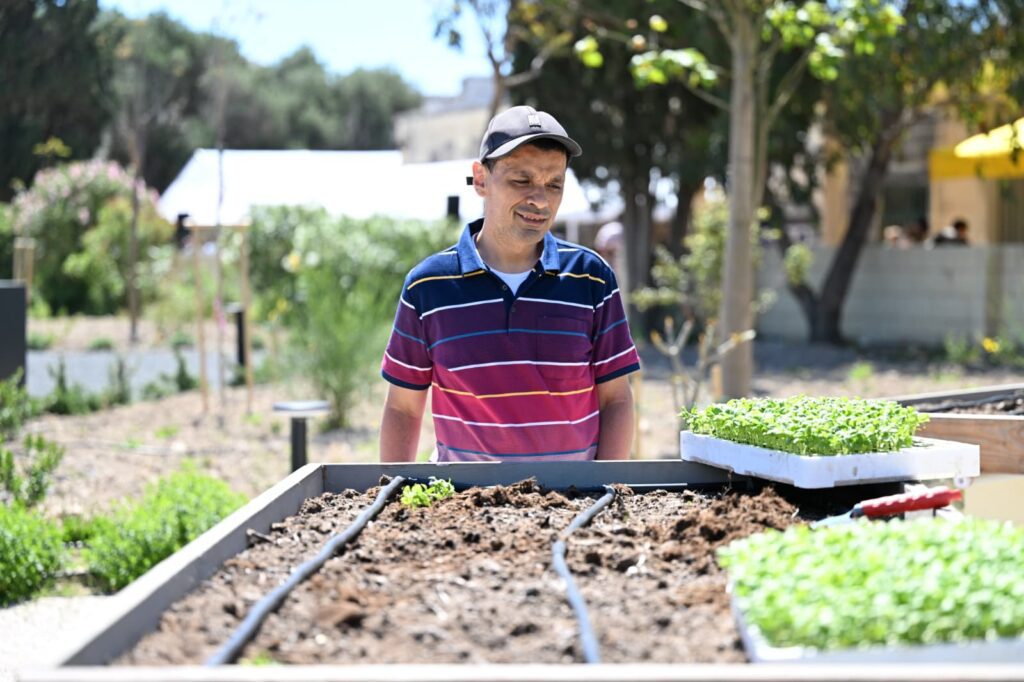 Raġel jħares lejn il-pjanti tal-ħabaq